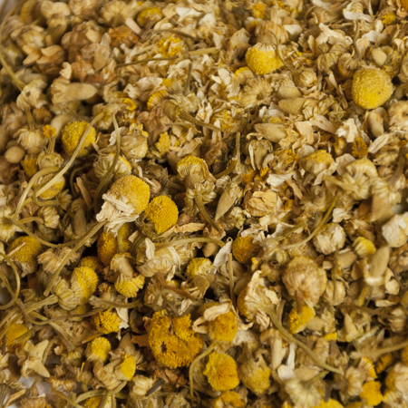 Close-up of organic German Chamomile blossoms, ideal for brewing our soothing German chamomile tea, perfect for relaxation and digestive health.