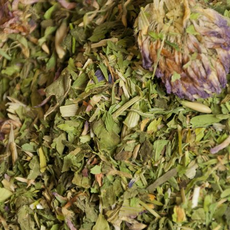 Close-up of Vitamin Tea, a nutrient-rich blend of organic herbs including Nettles and Alfalfa