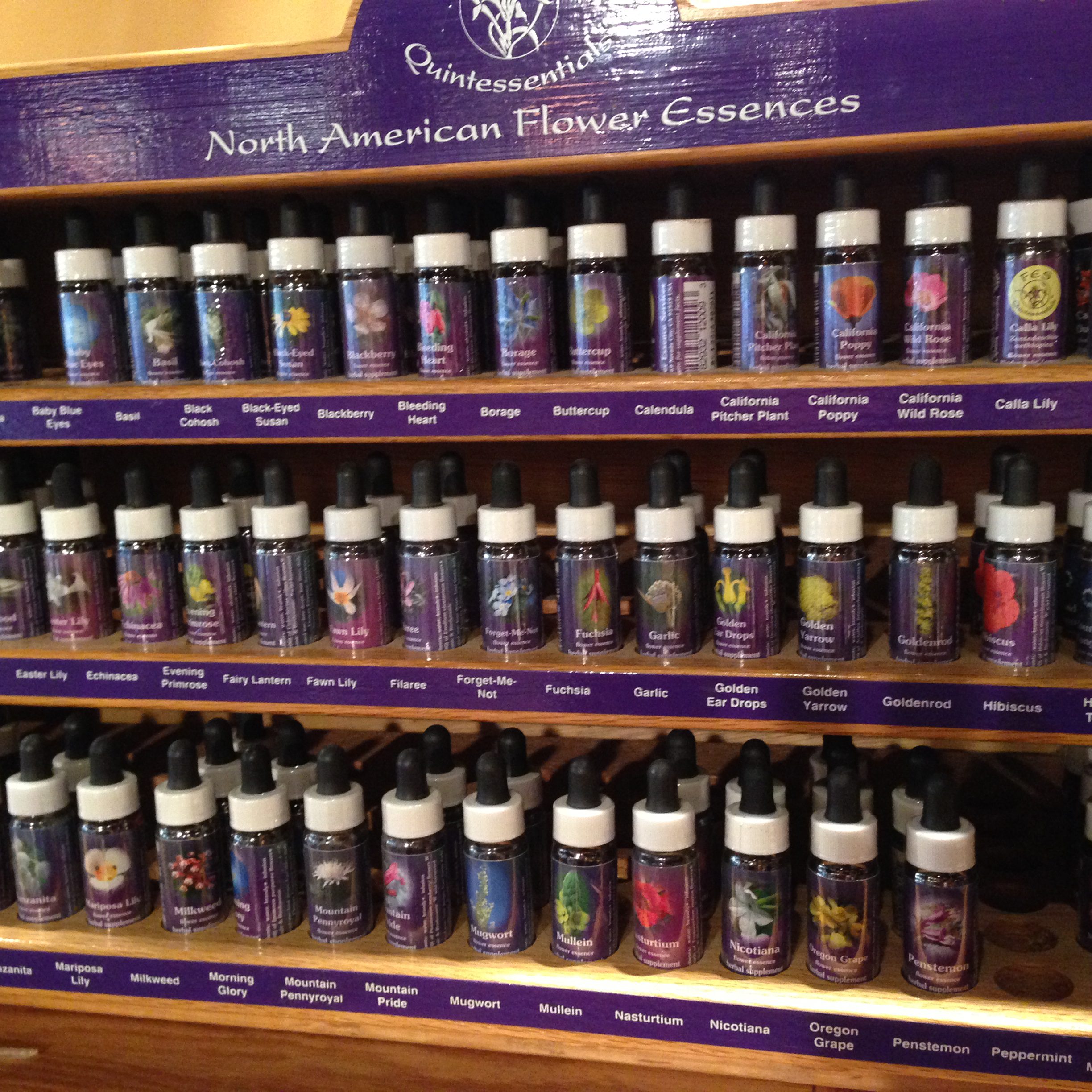 Flower Essences Quintessentials North American Flower Essences Living Earth Herbs