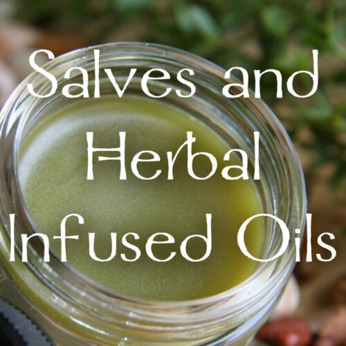 Salves and Herbal Infused Oils