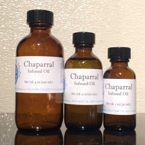Wild Harvested Chaparral Oil infused in organic olive oil, ideal for treating skin conditions and enhancing tattoo healing.