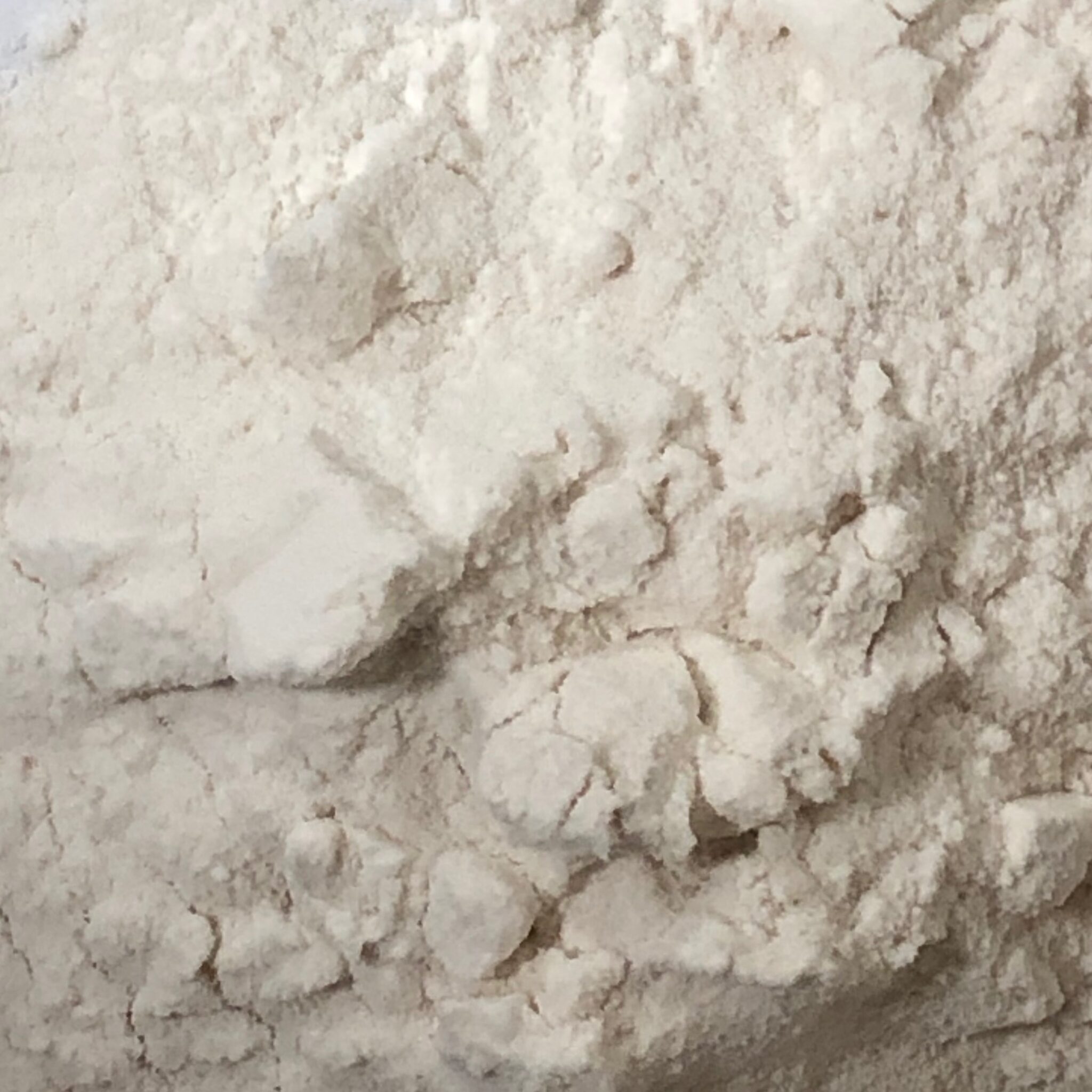 Acacia Powder, Organic Living Earth Herbs Organic Bulk Herbs