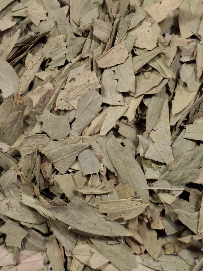 Senna Leaf Whole, Organic